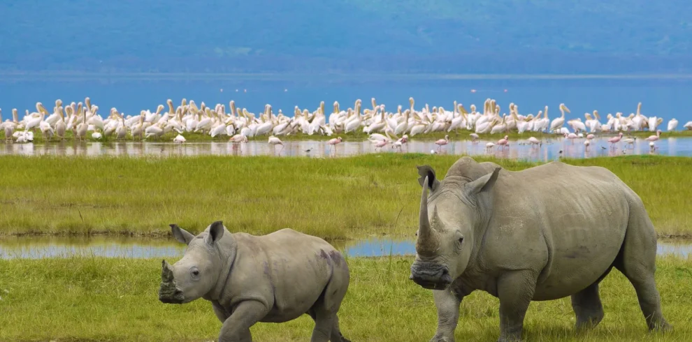 aby-Ngorongoro-1900×1000-1