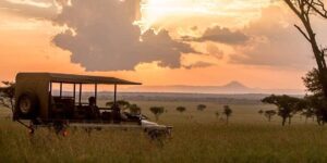 Game-drive-adventures-in-Serengeti-National-Park.