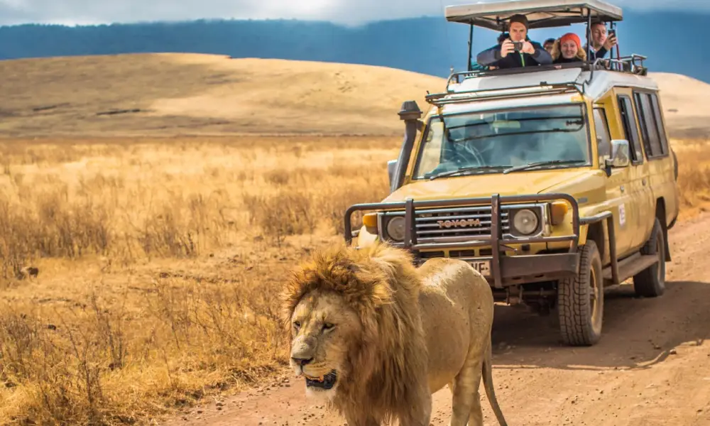 tanzania-safari-cost2